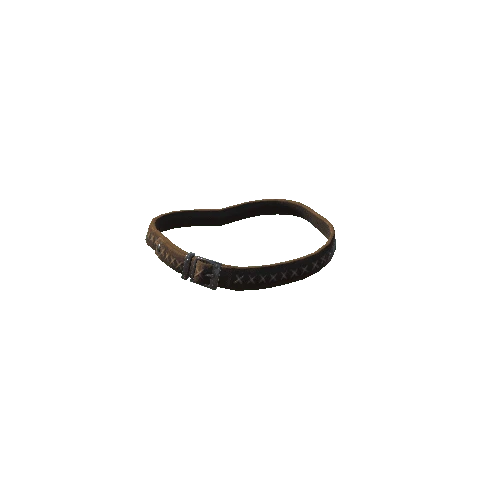 Armor5_Belt