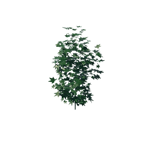 Tree8