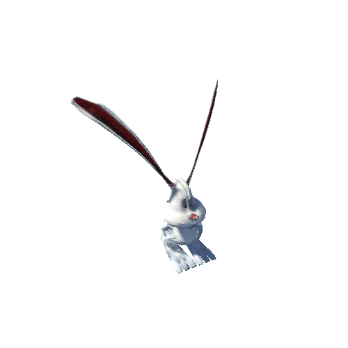 rabbit