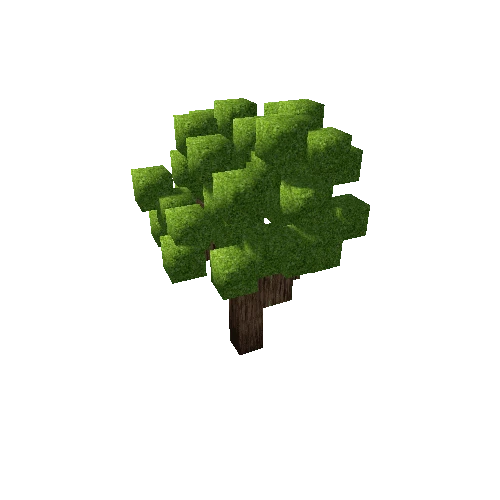 tree005