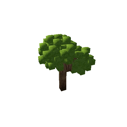 tree008