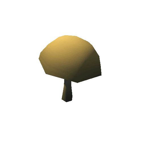 Mushroom_4