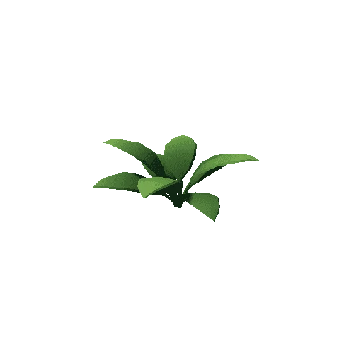 Plant_3