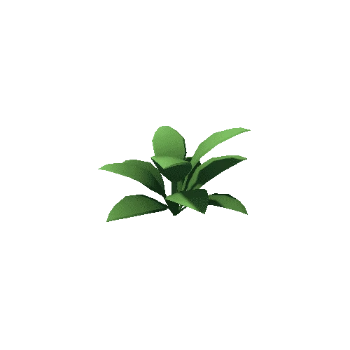 Plant_4