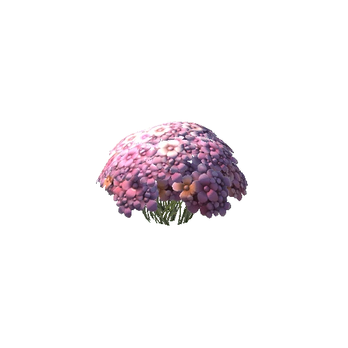 Flower_Bush3