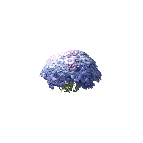 Flower_Bush9