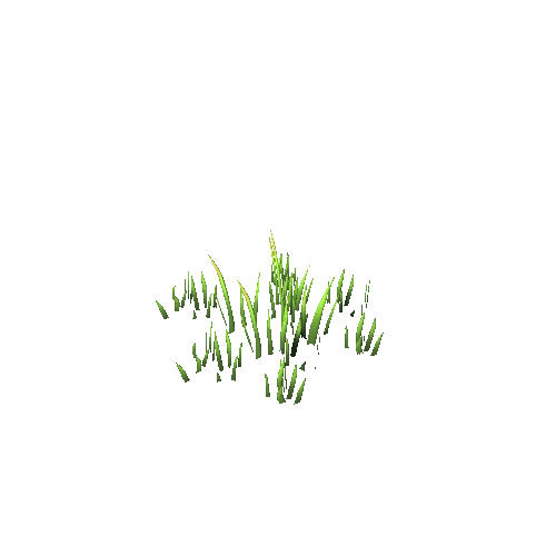 GrassClusterC2