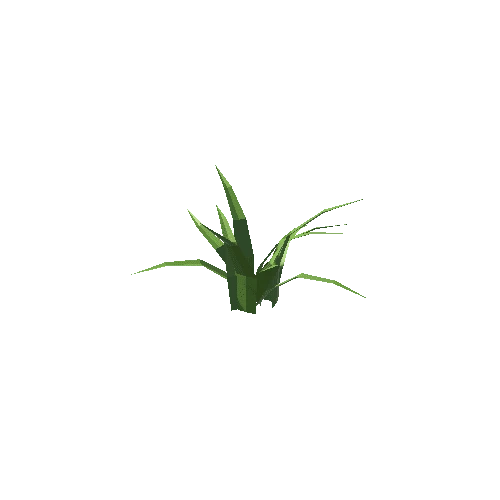 Plant_2A