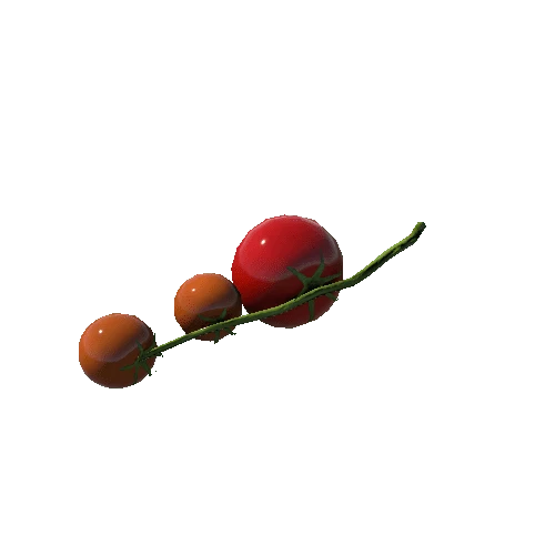 TomatoBranch_a