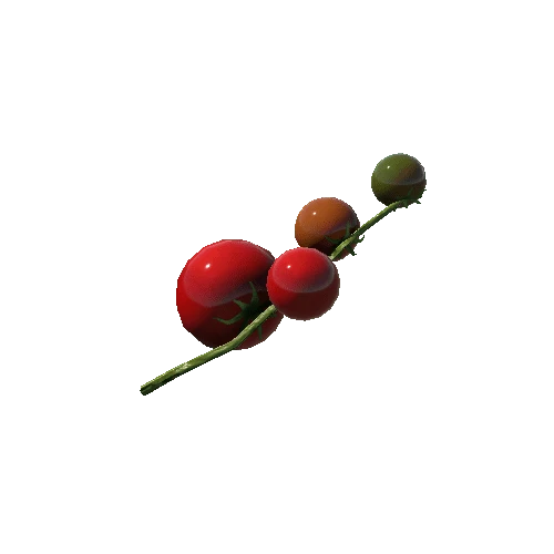 TomatoBranch_b