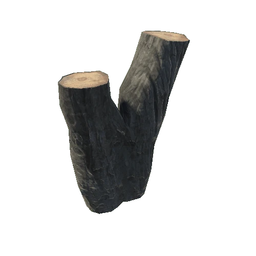 WoodStump_A