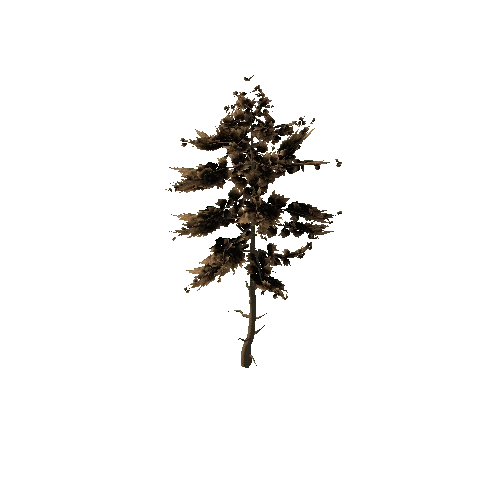 Pine_Tree_Rough_Brown_Tall_1