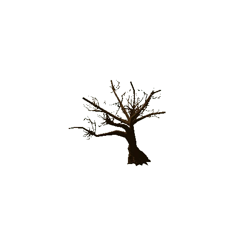 Thorn_Tree_Dry_02