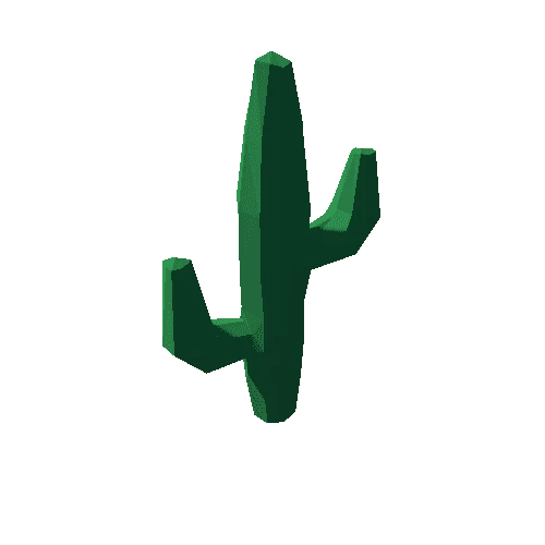 Cactus_03