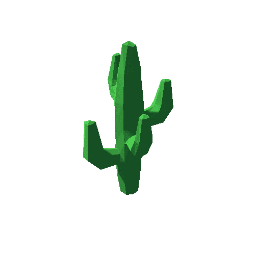 Cactus_05