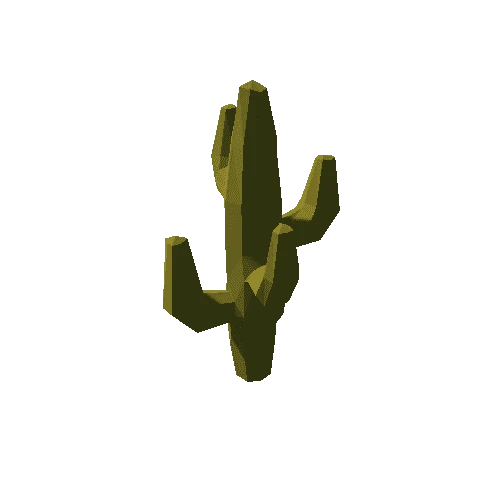 Cactus_06