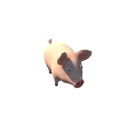 Pig