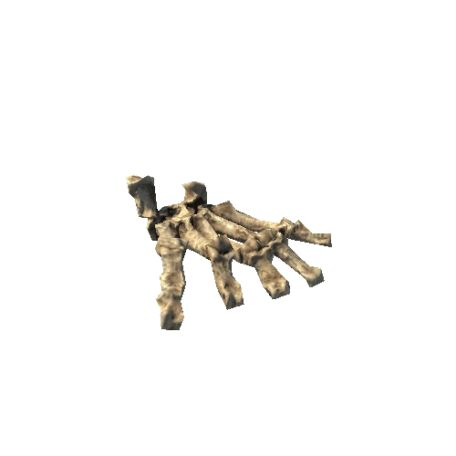 BK_AnimalBones_Arm