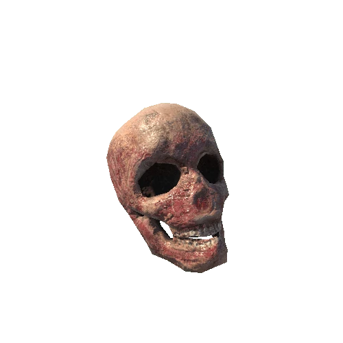 BK_Remains_Skull