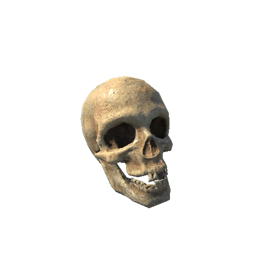 BK_Skeleton_Skull