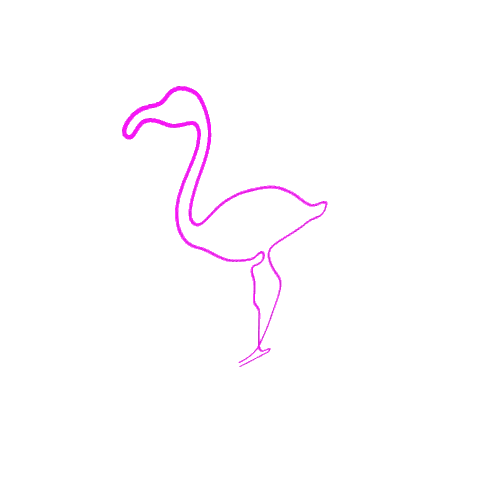 Plane_Neon_flamingo_alpha