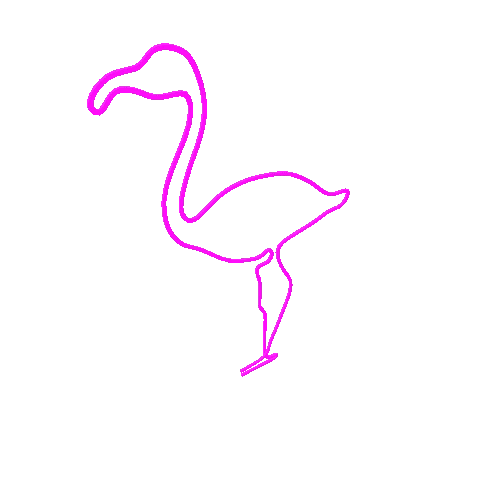 neon_flamingo