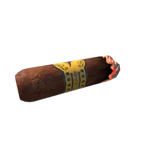 CigarBandBurning_6