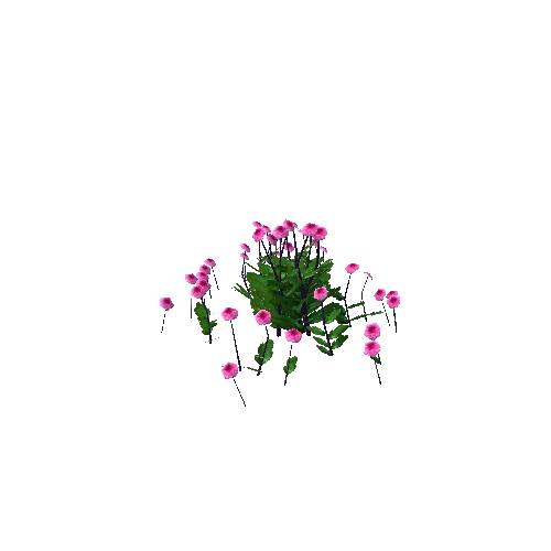 Flowers_Pink_1