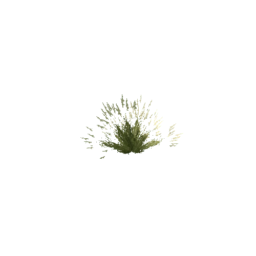 Long_Grass_V2_LOD1