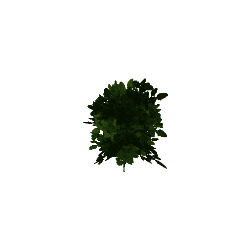 Bush_Green