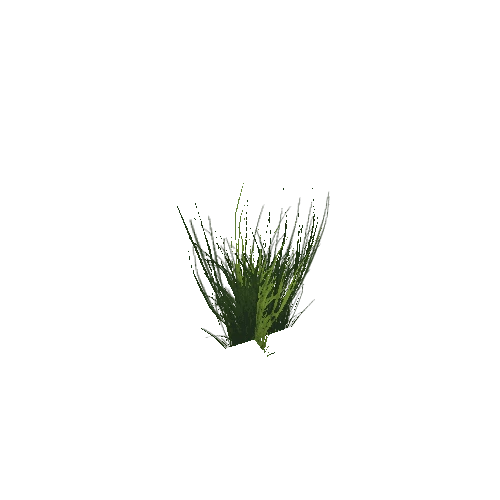 Grass_01