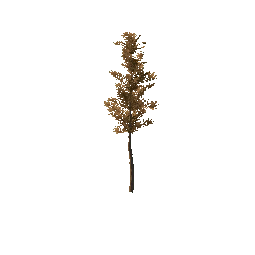 Pine_Sapling_Brown_Tall_LOD