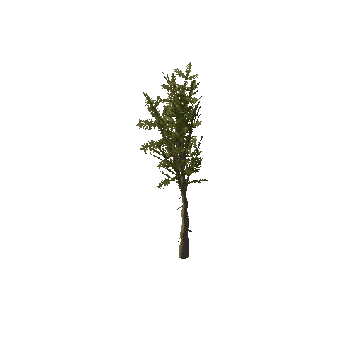 Pine_Sapling_Green_Small