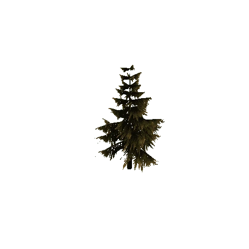 Pine_Tree_Brown