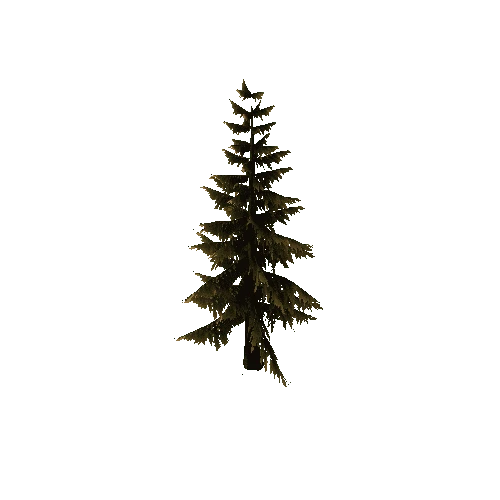 Pine_Tree_Brown_Tall