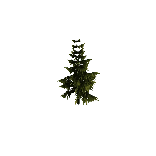 Pine_Tree_Green_LOD