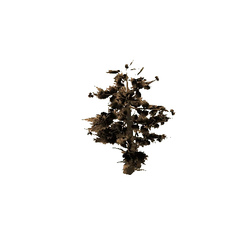 Pine_Tree_Rough_Brown_LOD