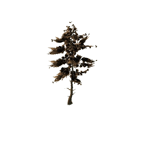 Pine_Tree_Rough_Brown_Tall