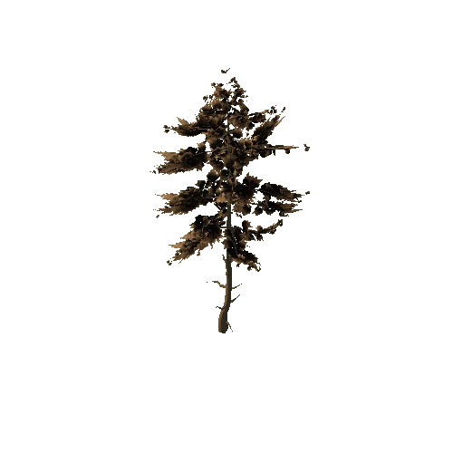 Pine_Tree_Rough_Brown_Tall_LOD