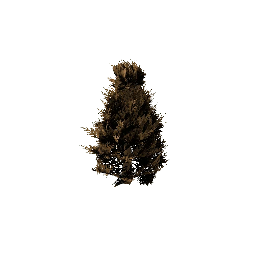 Spruce_Tree_Brown_LOD