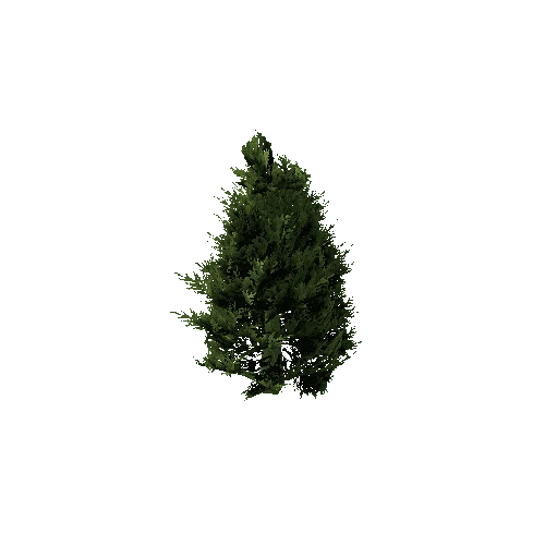 Spruce_Tree_Green_LOD