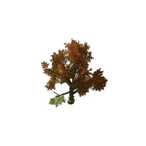 Beech_Tree_V8