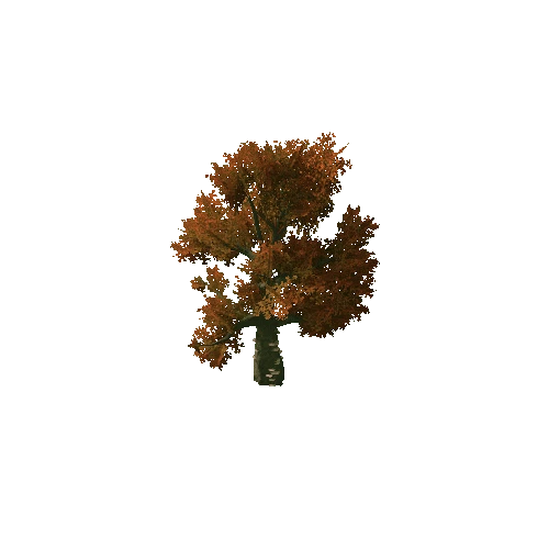 Beech_Tree_V9