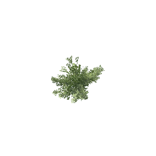 Bush_Small_Leafy_V1