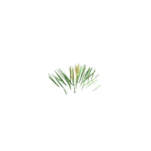 Edelweiss_Grass_V1_LOD