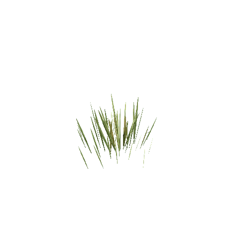 Edelweiss_Grass_V2