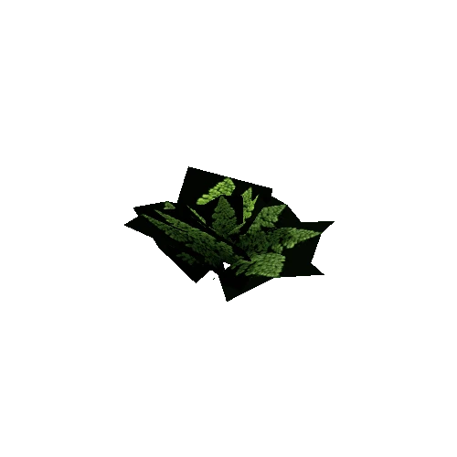 Fern_Leafy_V4_LOD