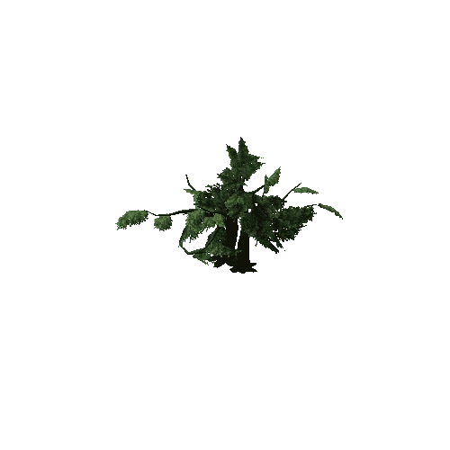 Oak_Tree_V4