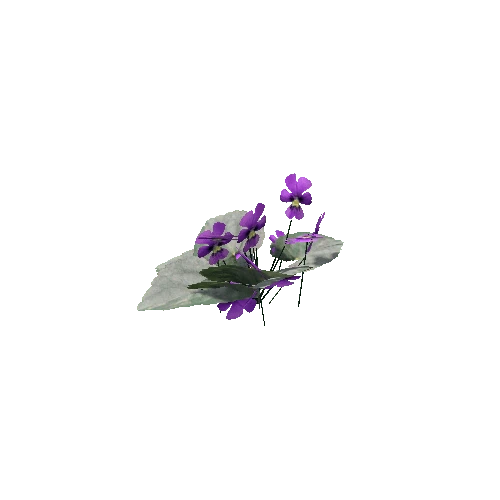 Violet_Leaves_V4