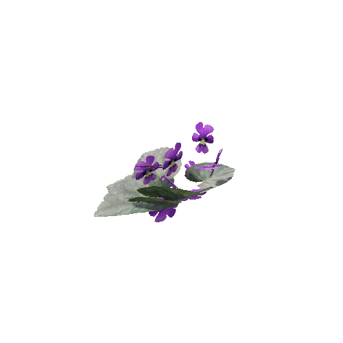 Violet_Leaves_V4_LOD